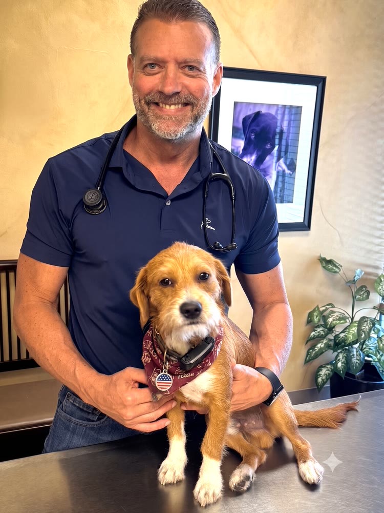 Dr. Steve Pelton, a veterinarian in Cypress, Texas, in the exam room where he runs an AI scribe, with Copper the puppy on the table