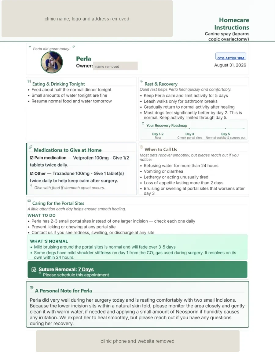 A DischargePro go-home sheet for a dog after a laparoscopic spay. The clinic name, address, phone, website, and the owner's name are boxed out.