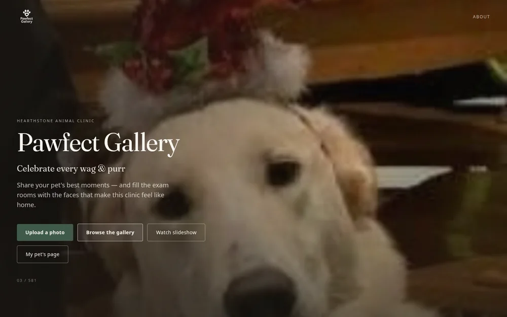 PawFect Gallery: My very first project, back in June 2025. Clients send in photos of their pets and they end up on the exam room walls and in a slideshow. More than 500 pets in it now, and I still keep improving it.